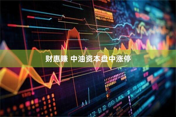 财惠赚 中油资本盘中涨停