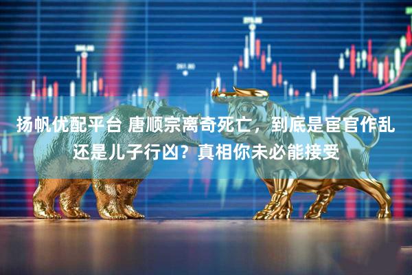 扬帆优配平台 唐顺宗离奇死亡，到底是宦官作乱还是儿子行凶？真相你未必能接受