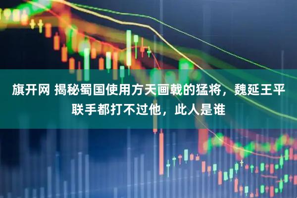 旗开网 揭秘蜀国使用方天画戟的猛将，魏延王平联手都打不过他，此人是谁